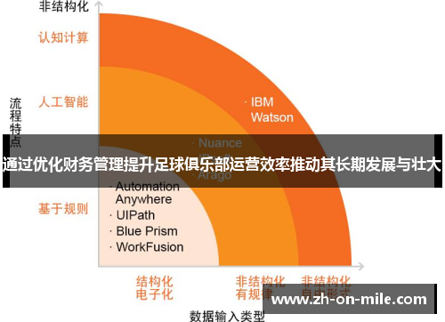 通过优化财务管理提升足球俱乐部运营效率推动其长期发展与壮大 通过优化财务管理提升足球俱乐部运营效率推动其长期发展与壮大